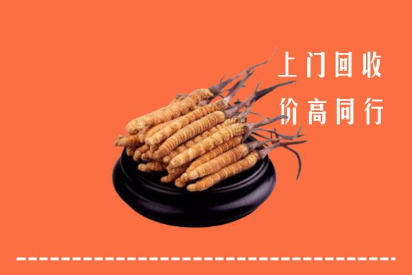 高价求购：浪卡子县回收散虫草