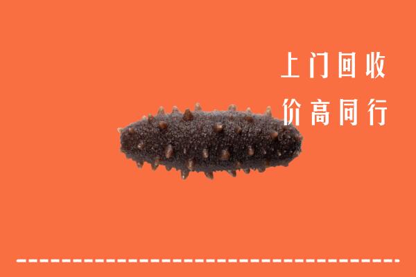 高价求购：浪卡子县回收海参